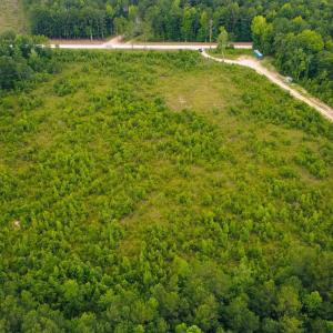 Photo #4 of Lot B Fries Bay Rd., Loris, SC 6.8 acres