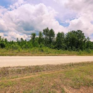 Photo #6 of Lot C Fries Bay Rd., Loris, SC 6.8 acres