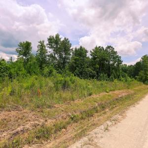 Photo #5 of Lot C Fries Bay Rd., Loris, SC 6.8 acres