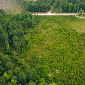 Photo #4 of Lot C Fries Bay Rd., Loris, SC 6.8 acres