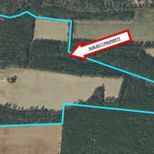 Photo #1 of TBD Fleetwood Dr., Galivants Ferry, SC 74.2 acres