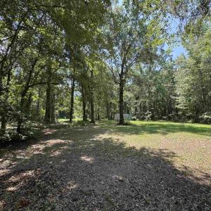 Photo #5 of 323 Stoudenmire St, Cameron, SC 2.1 acres