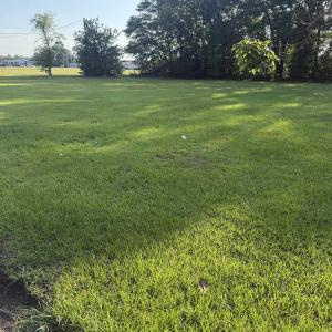 Photo #1 of 527 South Main St., Mullins, SC 0.5 acres