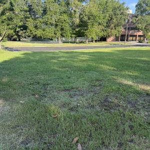 Photo #3 of 527 South Main St., Mullins, SC 0.5 acres