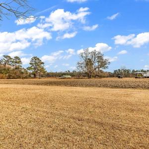 Photo #4 of TBD Highway 701 South, Loris, SC 8.2 acres