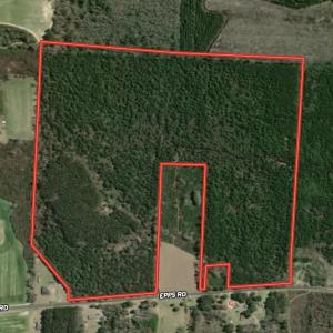 Photo #24 of 101.49 Acres - Epps Rd., New Zion, SC 101.5 acres