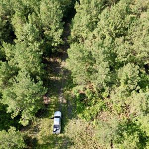 Photo #11 of 101.49 Acres - Epps Rd., New Zion, SC 101.5 acres