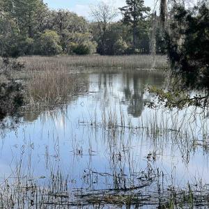 Photo #4 of 27 Pleasant Place Dr, Beaufort, SC 1.0 acres