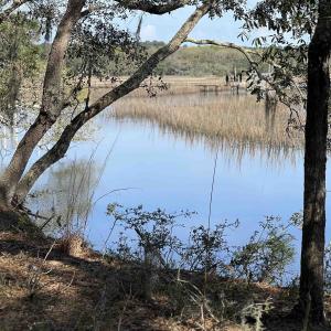 Photo #3 of 27 Pleasant Place Dr, Beaufort, SC 1.0 acres