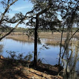 Photo #1 of 27 Pleasant Place Dr, Beaufort, SC 1.0 acres