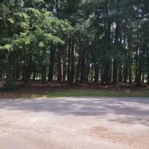 Photo #2 of 27 Pleasant Place Dr, Beaufort, SC 1.0 acres