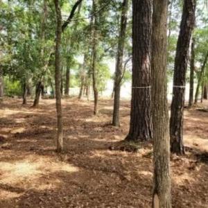 Photo #5 of 27 Pleasant Place Dr, Beaufort, SC 1.0 acres