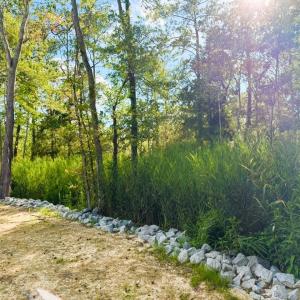 Photo #7 of 67 Ricefield Pl., Georgetown, SC 0.5 acres