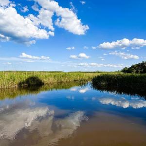Photo #15 of 67 Ricefield Pl., Georgetown, SC 0.5 acres