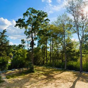Photo #2 of 67 Ricefield Pl., Georgetown, SC 0.5 acres