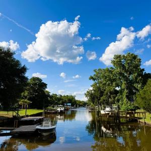 Photo #9 of 67 Ricefield Pl., Georgetown, SC 0.5 acres