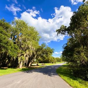 Photo #29 of 67 Ricefield Pl., Georgetown, SC 0.5 acres