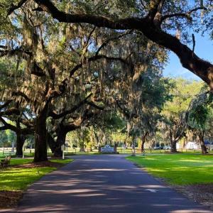 Photo #20 of 67 Ricefield Pl., Georgetown, SC 0.5 acres