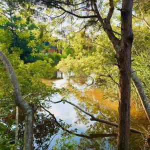 Photo #3 of 67 Ricefield Pl., Georgetown, SC 0.5 acres