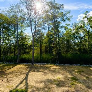 Photo #28 of 67 Ricefield Pl., Georgetown, SC 0.5 acres
