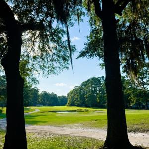 Photo #19 of 67 Ricefield Pl., Georgetown, SC 0.5 acres