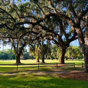 Photo #21 of 67 Ricefield Pl., Georgetown, SC 0.5 acres