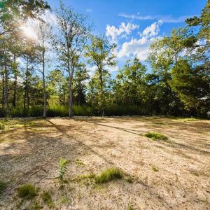 Photo #5 of 67 Ricefield Pl., Georgetown, SC 0.5 acres