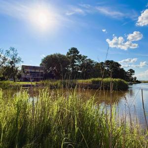 Photo #11 of 67 Ricefield Pl., Georgetown, SC 0.5 acres