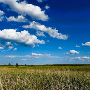 Photo #13 of 67 Ricefield Pl., Georgetown, SC 0.5 acres