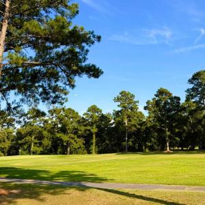 Photo #26 of 67 Ricefield Pl., Georgetown, SC 0.5 acres
