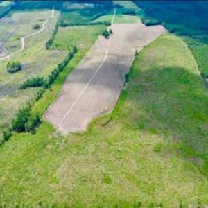 Photo #1 of TBD Hwy 527, New Zion, SC 166.0 acres