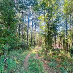 Photo #1 of 18.3 Acres - Turkey Ln, Kingstree, SC 18.3 acres
