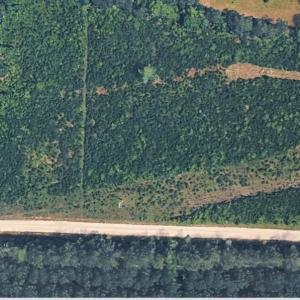 Photo #6 of TBD1 Old Forest Dr., Loris, SC 4.8 acres