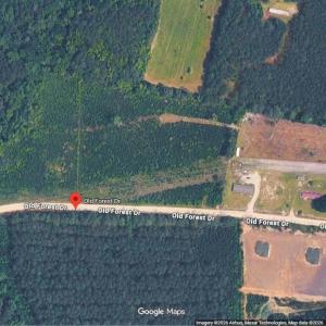Photo #3 of TBD1 Old Forest Dr., Loris, SC 4.8 acres