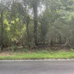 Photo #4 of TBD Cow Head Rd., Hemingway, SC 1.8 acres