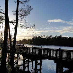 Photo #7 of 524 Chamberlin Rd., Myrtle Beach, SC 0.5 acres