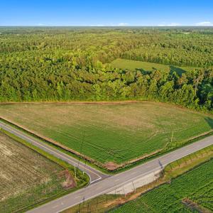 Photo #6 of TBD Highway 76, Nichols, SC 6.0 acres