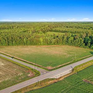 Photo #14 of TBD Highway 76, Nichols, SC 6.0 acres