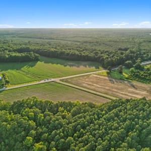 Photo #12 of TBD Highway 76, Nichols, SC 6.0 acres