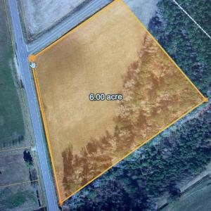 Photo #3 of TBD Highway 76, Nichols, SC 6.0 acres