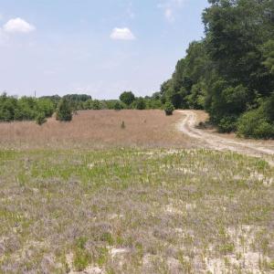 Photo #13 of 25.10 Acres - Society Hill Rd, Darlington, SC 25.1 acres