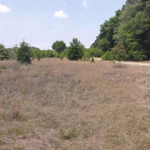 Photo #14 of 25.10 Acres - Society Hill Rd, Darlington, SC 25.1 acres
