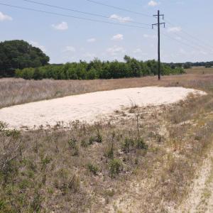 Photo #16 of 25.10 Acres - Society Hill Rd, Darlington, SC 25.1 acres