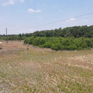 Photo #19 of 25.10 Acres - Society Hill Rd, Darlington, SC 25.1 acres