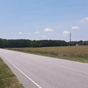 Photo #23 of 25.10 Acres - Society Hill Rd, Darlington, SC 25.1 acres