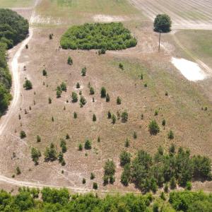 Photo #9 of 25.10 Acres - Society Hill Rd, Darlington, SC 25.1 acres