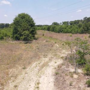 Photo #17 of 25.10 Acres - Society Hill Rd, Darlington, SC 25.1 acres
