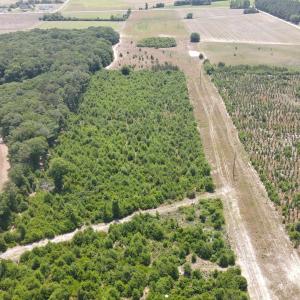Photo #6 of 25.10 Acres - Society Hill Rd, Darlington, SC 25.1 acres