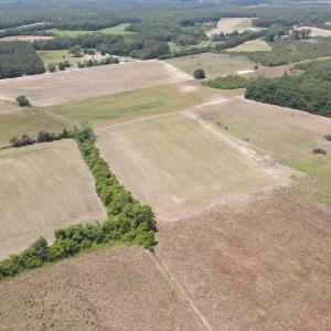 Photo #5 of 25.10 Acres - Society Hill Rd, Darlington, SC 25.1 acres