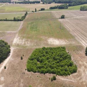 Photo #10 of 25.10 Acres - Society Hill Rd, Darlington, SC 25.1 acres
